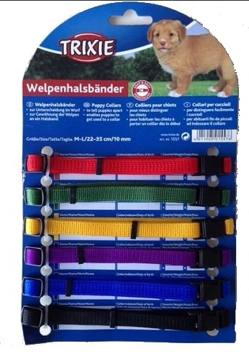 Absoluut knecht blok puppy halsbanden set felle kleuren – FunnyPets